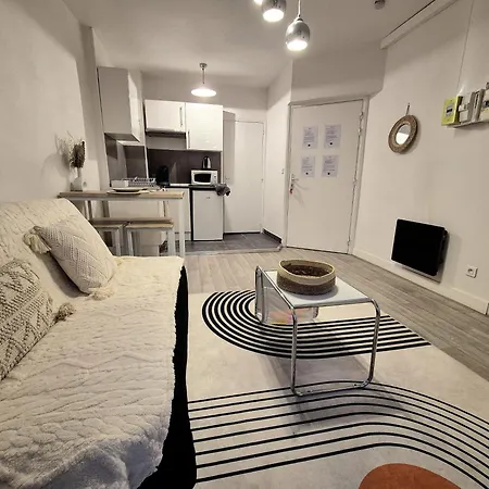 Le Cocon-t2-proche Du Centre-wifi ルルド