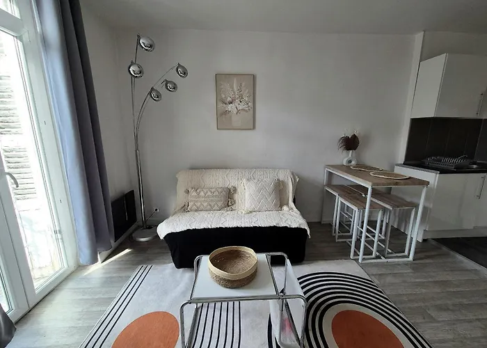 Le Cocon-t2-proche Du Centre-wifi Lurdy