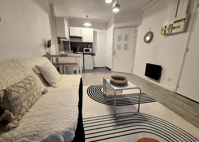 Le Cocon-t2-proche Du Centre-wifi Lurdy